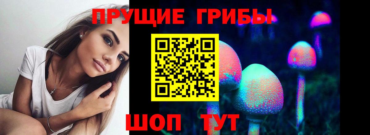 Галлюциногенные грибы MAGIC MUSHROOMS  Вход с VPN  Воронеж 